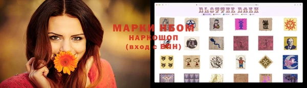 ALPHA PVP Новозыбков