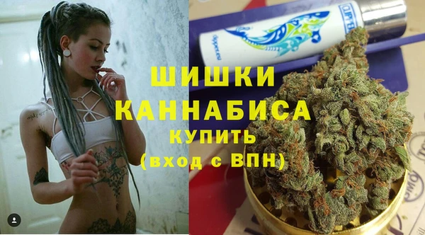 ALPHA PVP Новозыбков