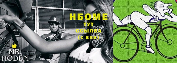 ALPHA PVP Новозыбков