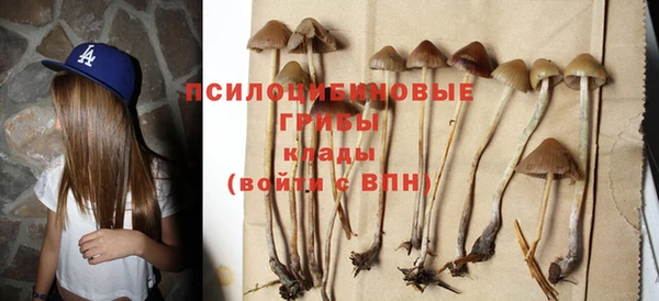 кокс Нея