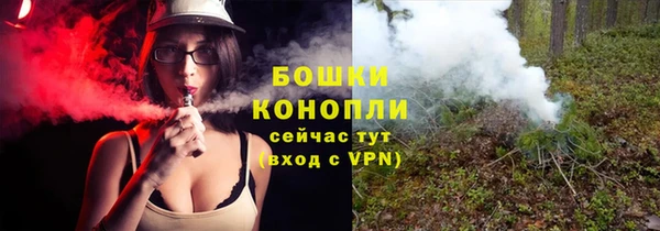 ALPHA PVP Новозыбков