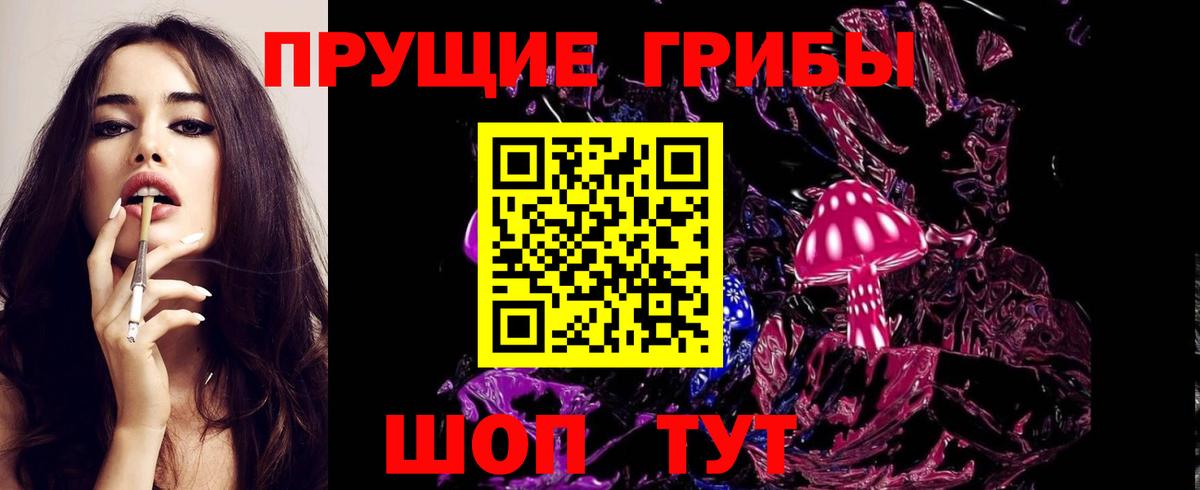 Псилоцибиновые грибы Cubensis Сарапул
